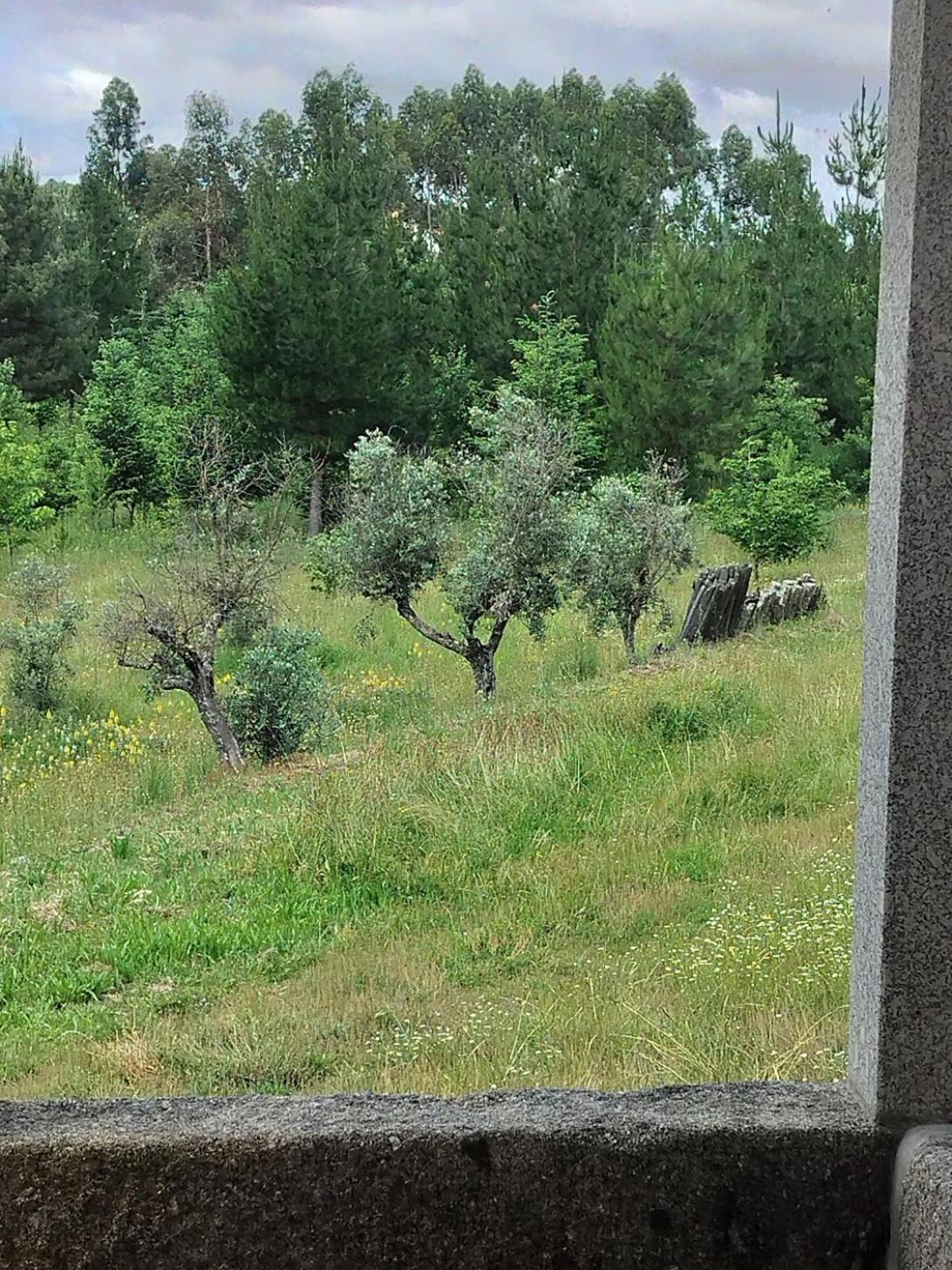 Arpuro Villa Gouveia  Dış mekan fotoğraf