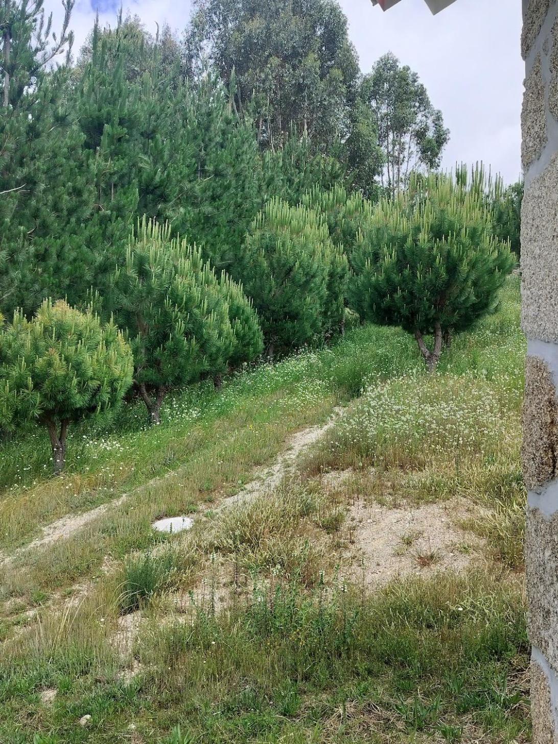 Arpuro Villa Gouveia  Dış mekan fotoğraf