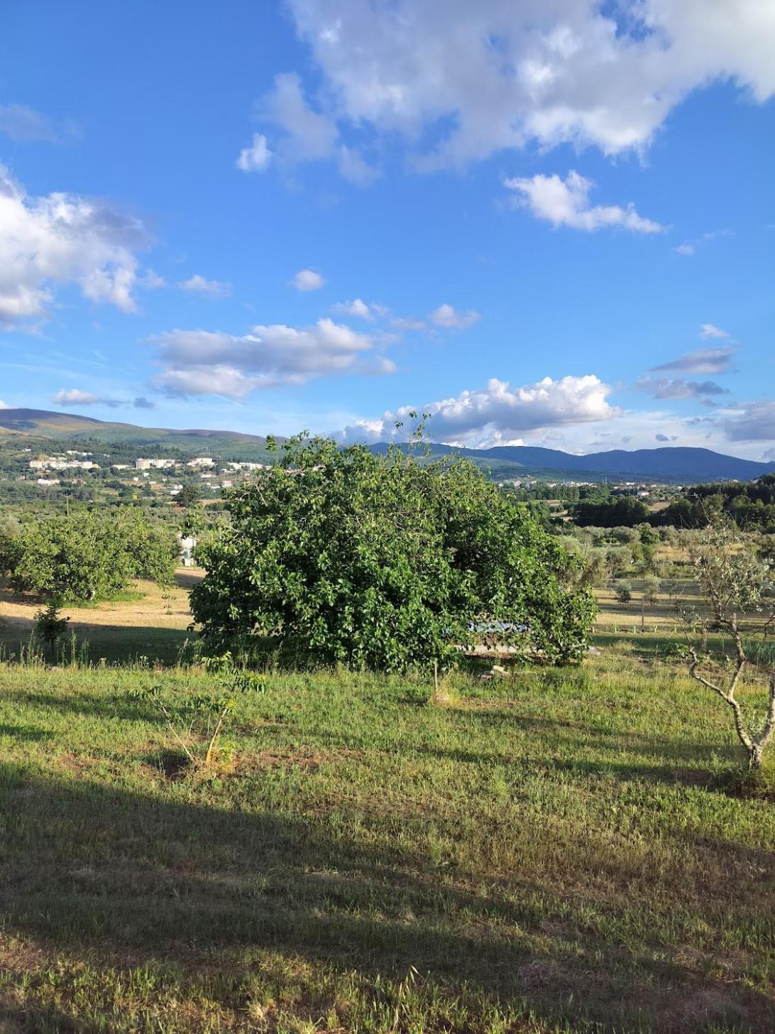 Arpuro Villa Gouveia  Dış mekan fotoğraf